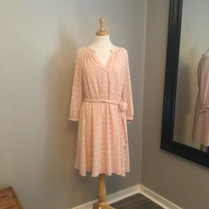 Ann Taylor Shirt Dress